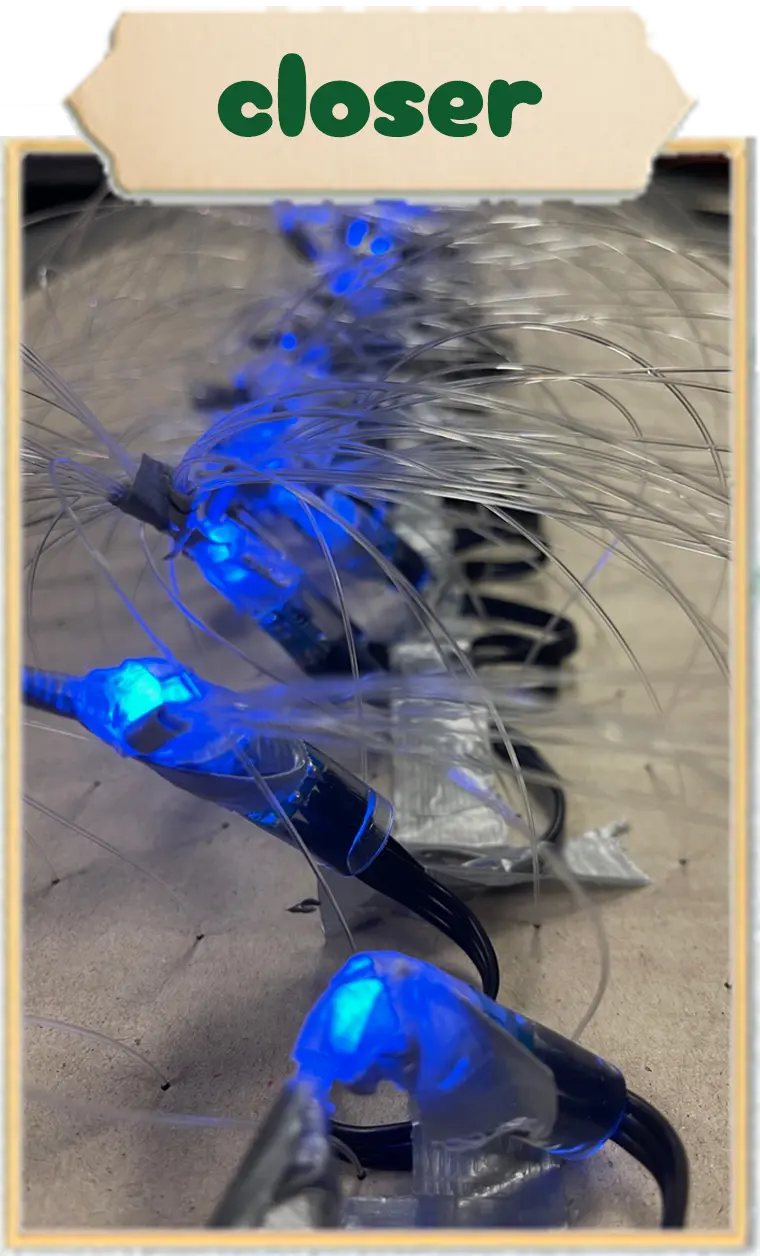 Description of the image