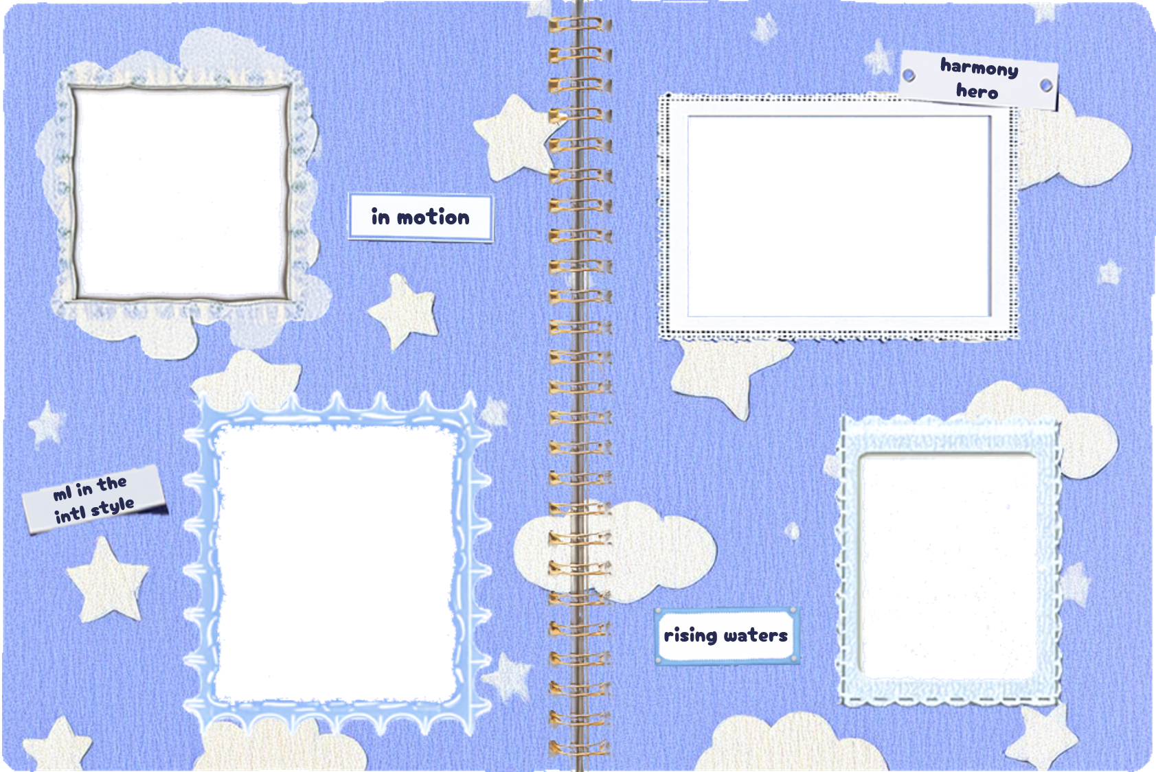 Reference Image